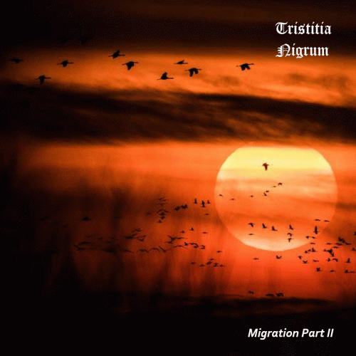 Tristitia Nigrum : Migration Part II